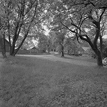 Park vid Riddersvik, Hässelby