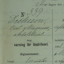 Arbetskarlen Carl Magnus Eriksson, 73, varnad för lösdriveri 29 maj 1891 - polisförhör