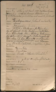 Axel Esbensen blir anmäld för "otukt mot naturen" – polisförhör 2 juni 1917
