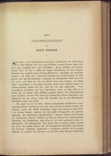 Gaturegleringen / Moritz Rubenson