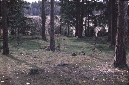 Gravfältet i tallskogen. 