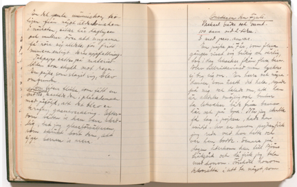 Utdrag från Lena Sandells dagbok för Björns trädgårds Parklek den 7e juli 1937