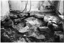 Sanering av äkta hussvamp på Orhems gård.