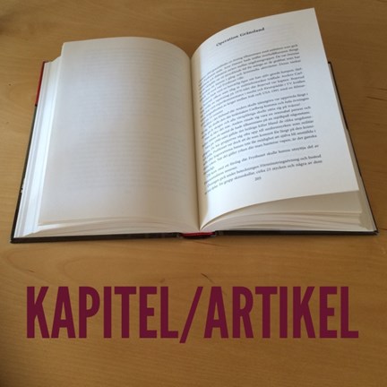 Kapitel/artikel